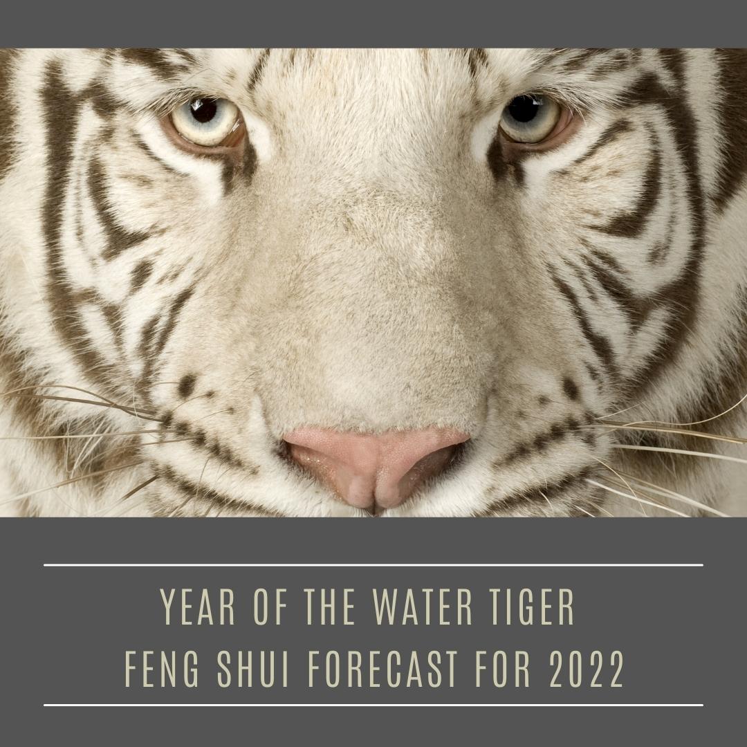 White-Wolf-Interiors-Feng-Shui-Toronto-Interior-Decorator-Home-Commercial-Office-Design-featured-image-feng-shui-forecast-for-2022-year-of-the-water-tiger